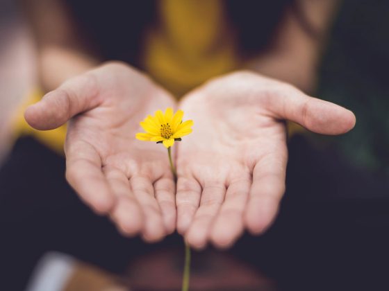 Lina trochez ktpkyus3qjs unsplash