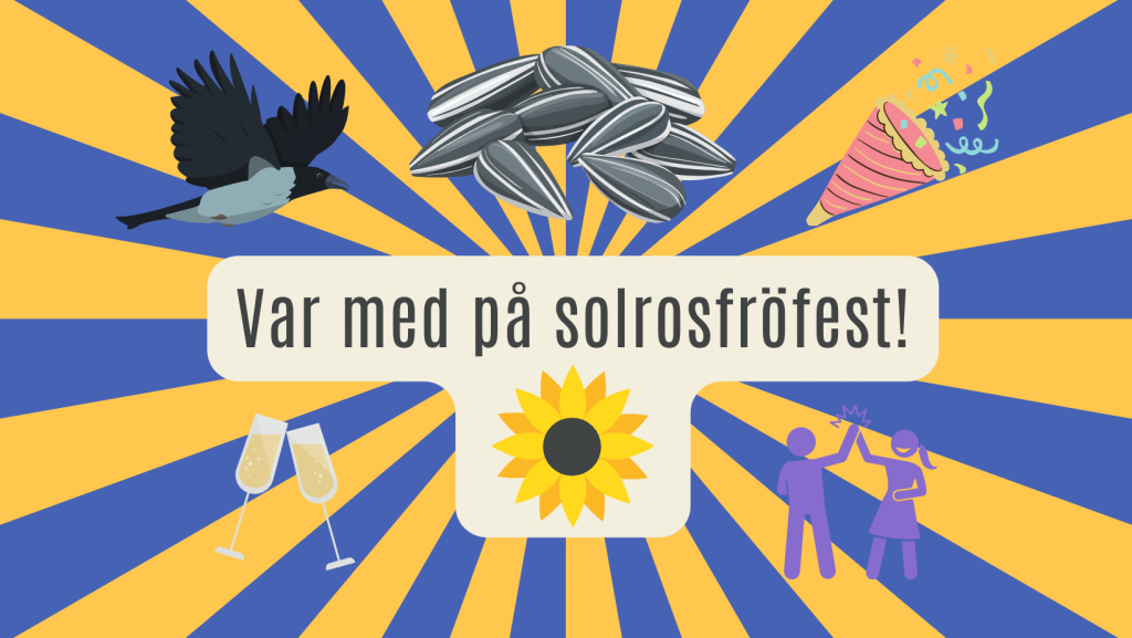 Solrosfröfest
