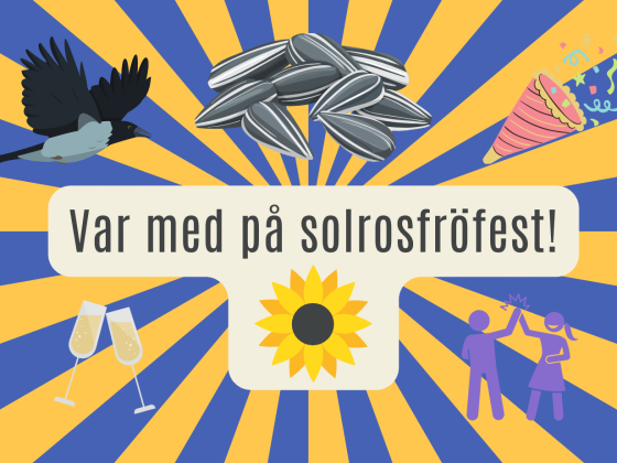 Solrosfröfest