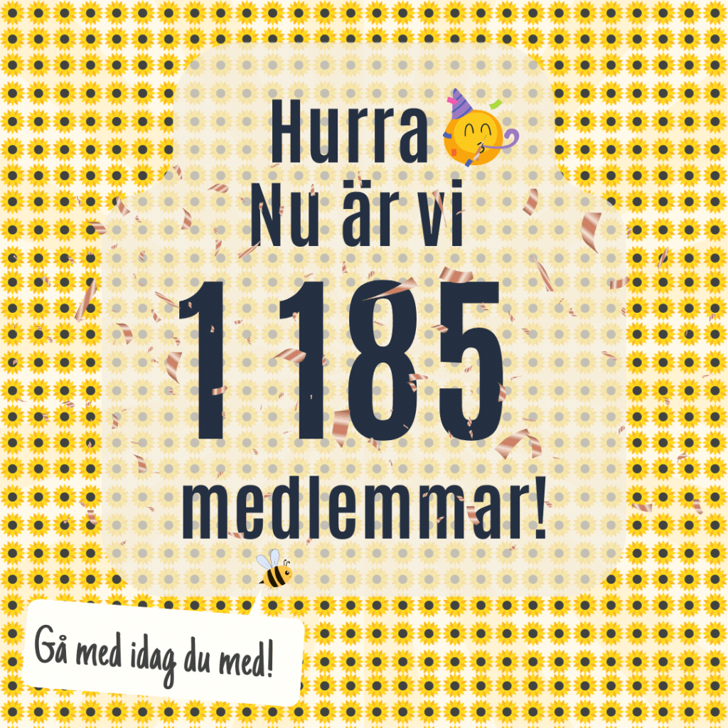 Inlägg i insta och fb format (20)