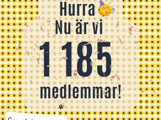Inlägg i insta och fb format (20)