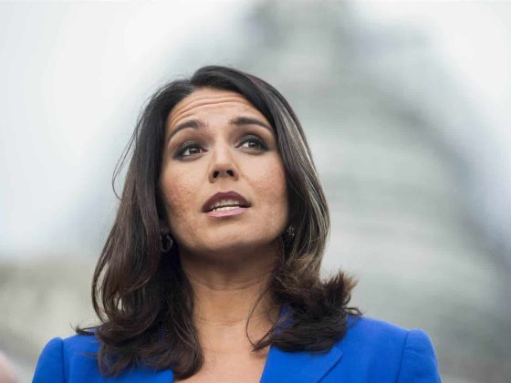 Tulsi gabbard mn 1040