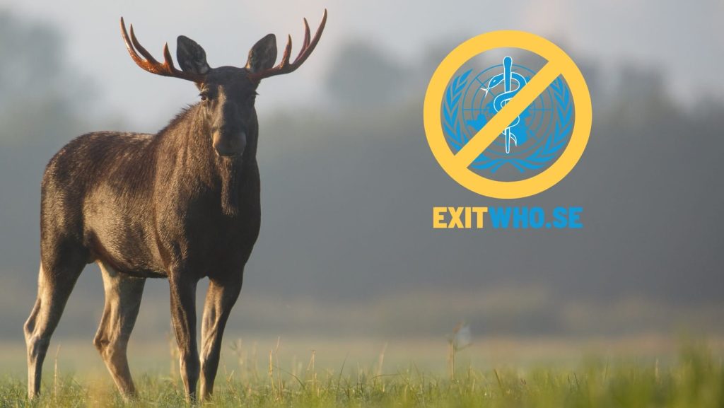 Exit who (3)