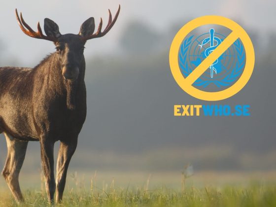Exit who (3)