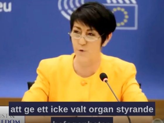 Christine andersson eu