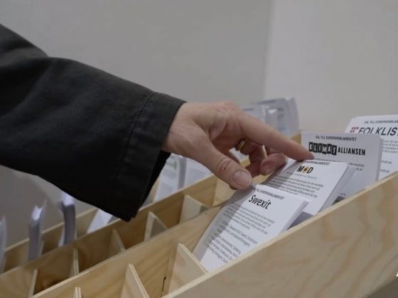Förtidsrösta på mod ur svts aktuellt