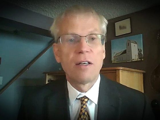 Martin kulldorff röstar på mod i eu valet