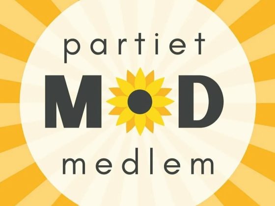 Mod medlem 600 x 300 px 610 x 300 px instagram inlagg fyrkantigt 2