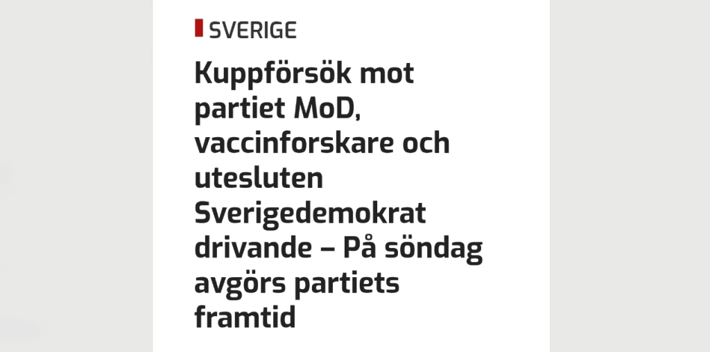 Newsvoice artikel om kuppmakarna