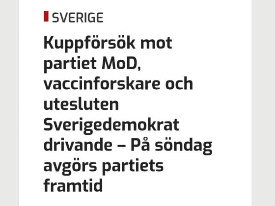 Newsvoice artikel om kuppmakarna