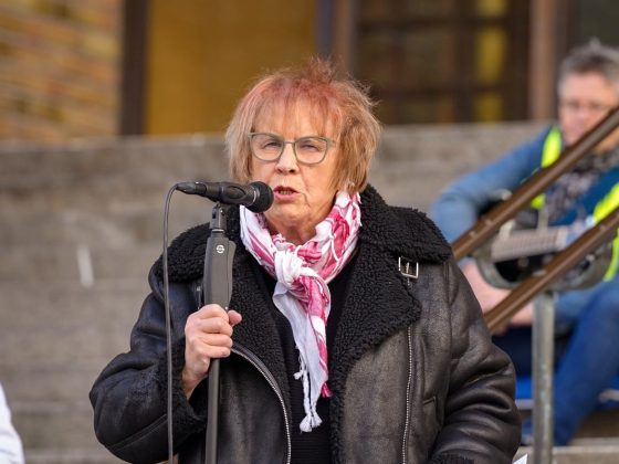 2024 09 28 manifestation för fred medborgarplatsen #vitflagg fredsalliansen.se 22 stor
