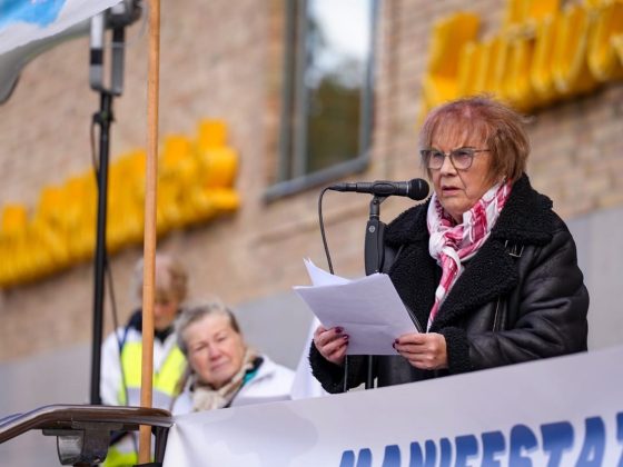 2024 09 28 manifestation för fred medborgarplatsen #vitflagg fredsalliansen.se 31 stor