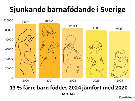 Sjunkande barnafödande i sverige 2020 2024 2 stor