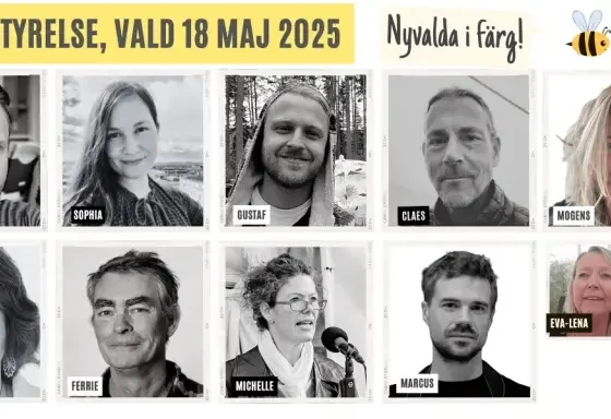 Mods styrelse vald 18 maj 2025
