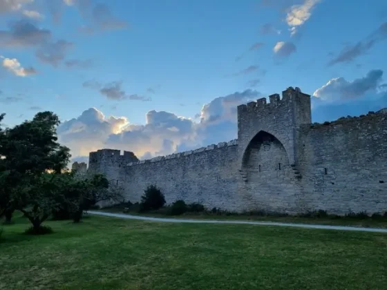 2022 07 mod i almedalen 10 – medel